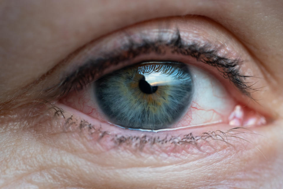 close up of an eye