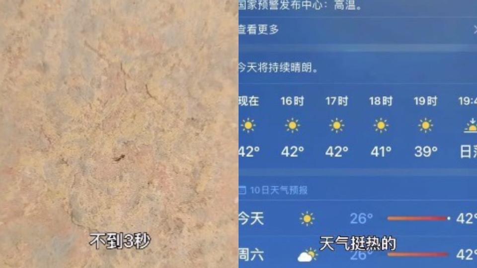  根據大陸氣象數據，河南省24日有多達67個縣市氣溫來到40℃以上，螞蟻3秒熱死。（圖／截自微博）