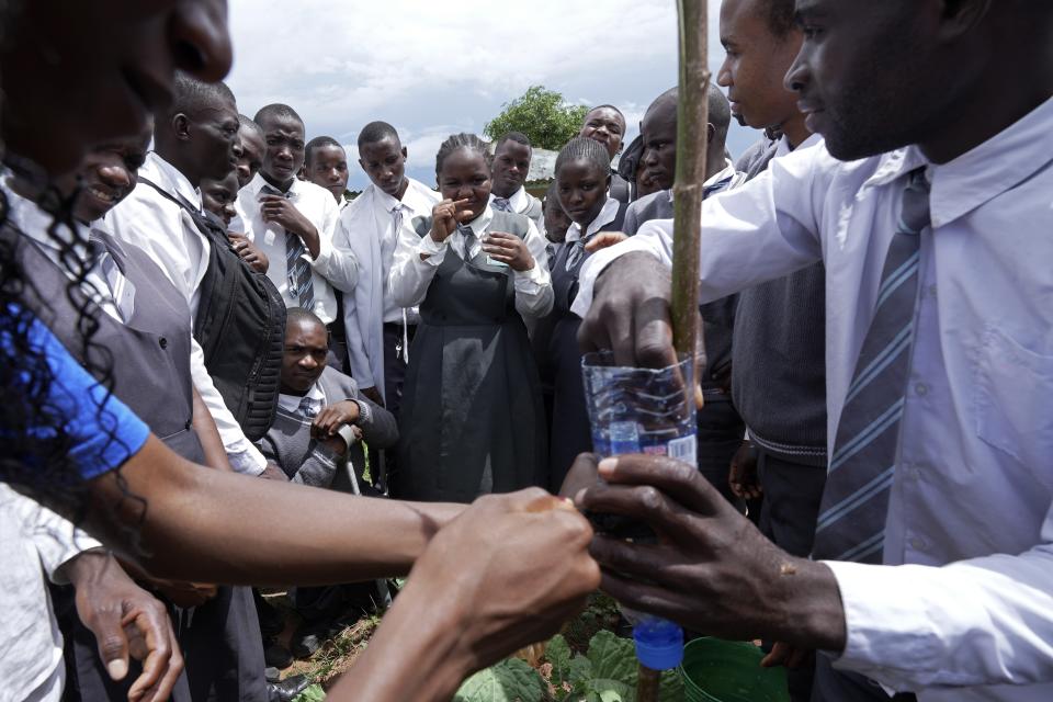 Bridget Chanda, center, signs for students who are deaf during a climate smart techniques lesson on drip irrigation outside a garden at Chileshe Chepela Special School in Kasama, Zambia, Wednesday, March 6, 2024. Chanda is intent on helping educate Zambia's deaf community about climate change. As the southern African nation has suffered from more frequent extreme weather, including its current severe drought, it's prompted the Zambian government to include more climate change education in its school curriculum. (AP Photo/Tsvangirayi Mukwazhi)