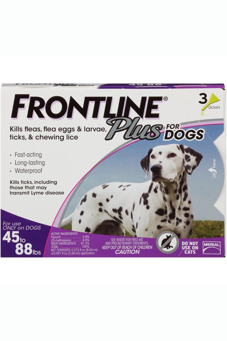 Protect Them Against Ticks and Fleas