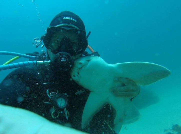 <p>La relación entre un hombre y un tiburón puede sonar a una de esas amistades improbables. Sin embargo, esta foto demuestra lo contrario. </p>