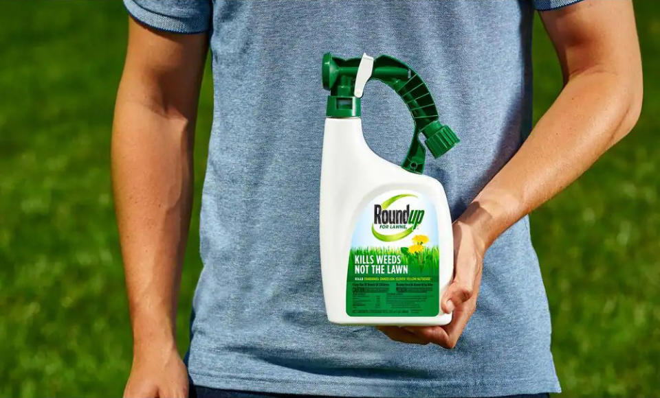 roundup weed killer, garden landscaping