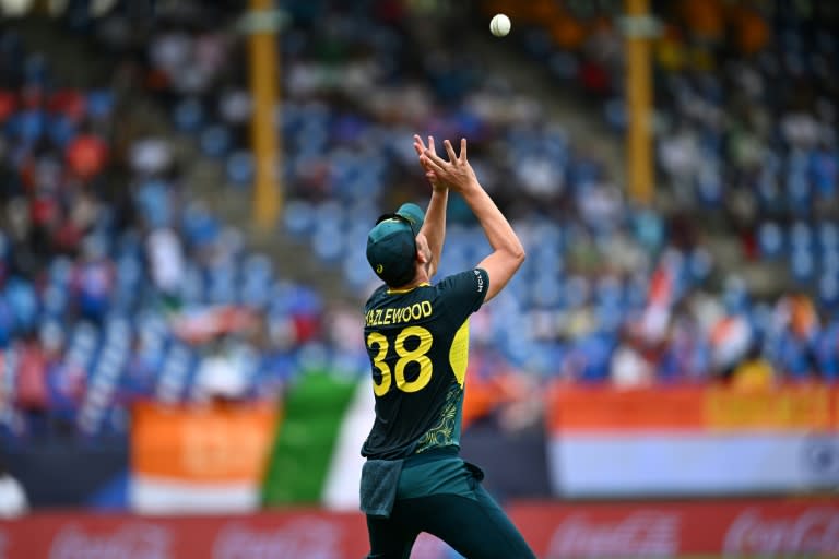 Safe hands: Australia's Josh Hazlewood catches the ball to dismiss India's Rishabh Pant (Chandan Khanna)