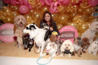 <p>The celebrity chef and talk show host was surrounded by a ton of puppy love, celebrating the 10th anniversary of her pet food brand, Nutrish, at Gary’s Loft in New York City on Monday. (Photo: Cindy Ord/Getty Images for Nutrish) </p>