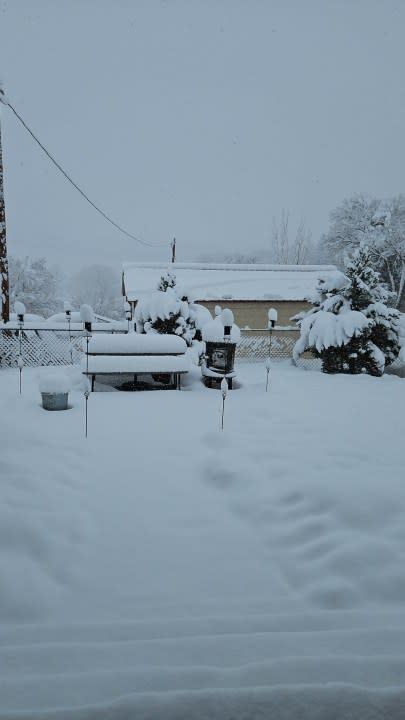 Snow near Buena Vista, NM (Photo Courtesy: Antoinette S.G.)