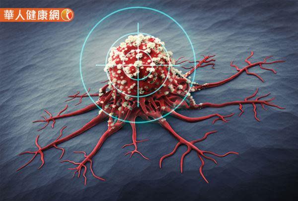 癌症免疫療法可望更精準！在癌症研究中，上皮細胞黏附分子（EpCAM）被廣泛認為是辨認癌細胞的重要標的。