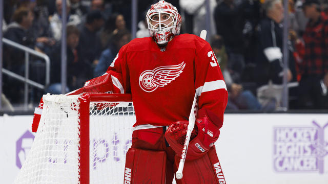 Alex Nedeljkovic on new opportunity with Detroit Red Wings