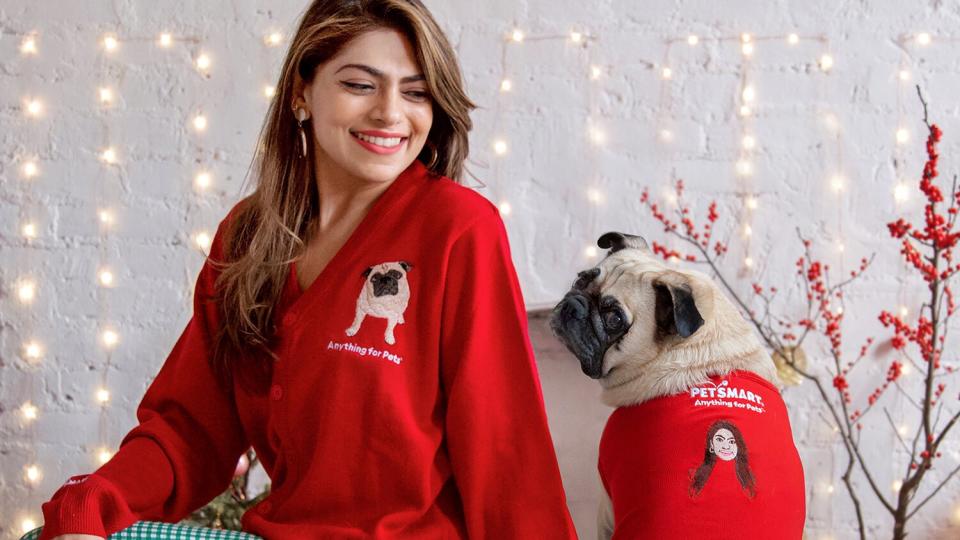 pet-smart-holiday-sweaters