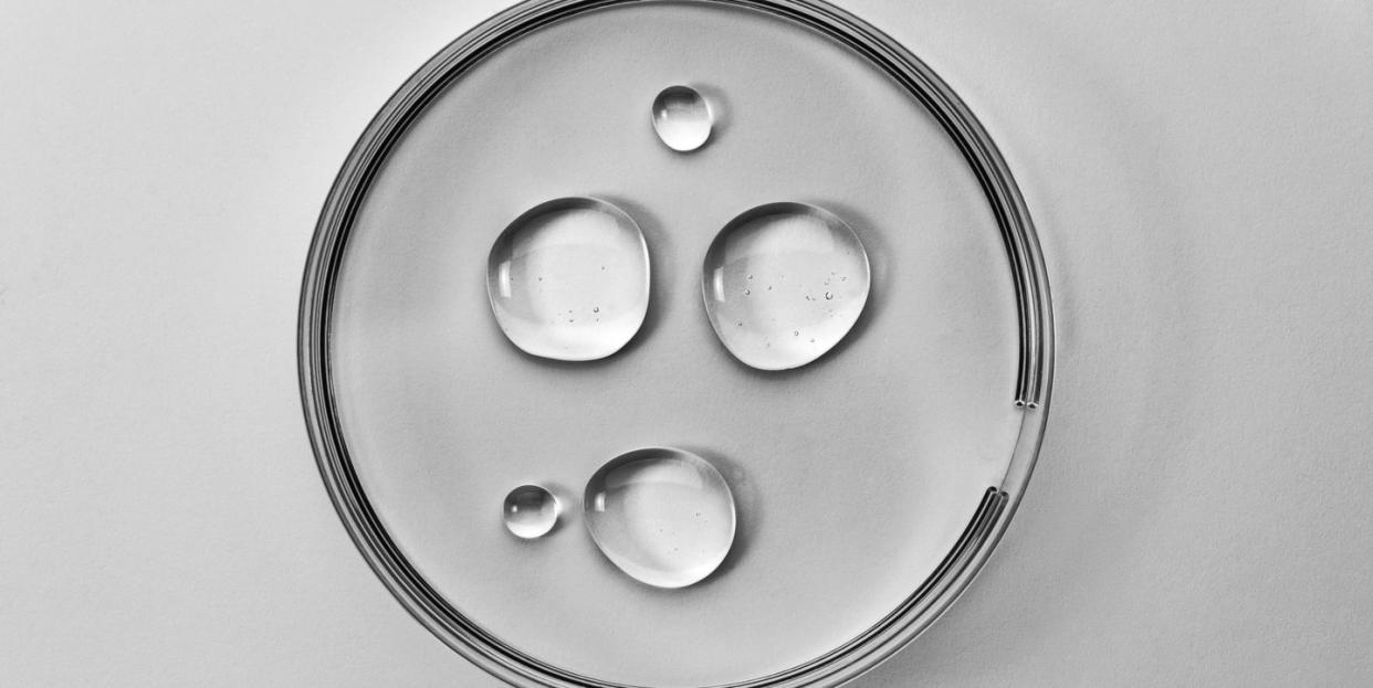 samples of antibacterial gel in petri dish on white background chemical research in scientific laboratory flat lay style
