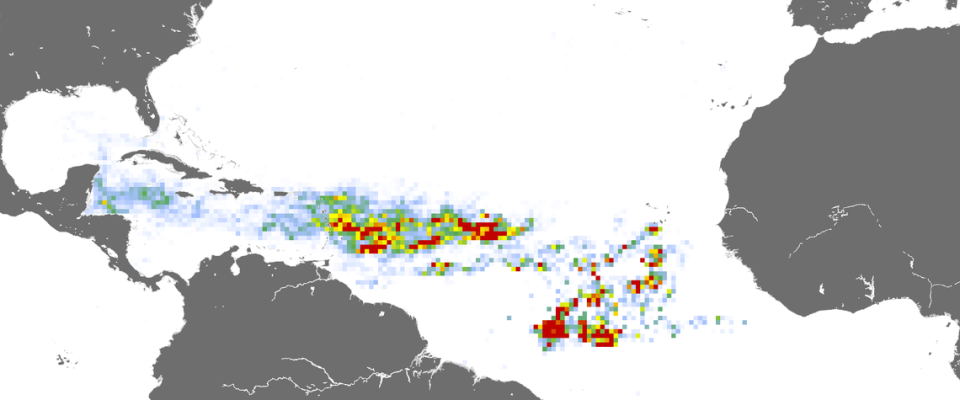 Este mapa del Laboratorio de Oceanografía Óptica de la Universidad del Sur de la Florida muestra la floración de sargazo en febrero de 2023. Las zonas rojas tienen una mayor densidad de algas.