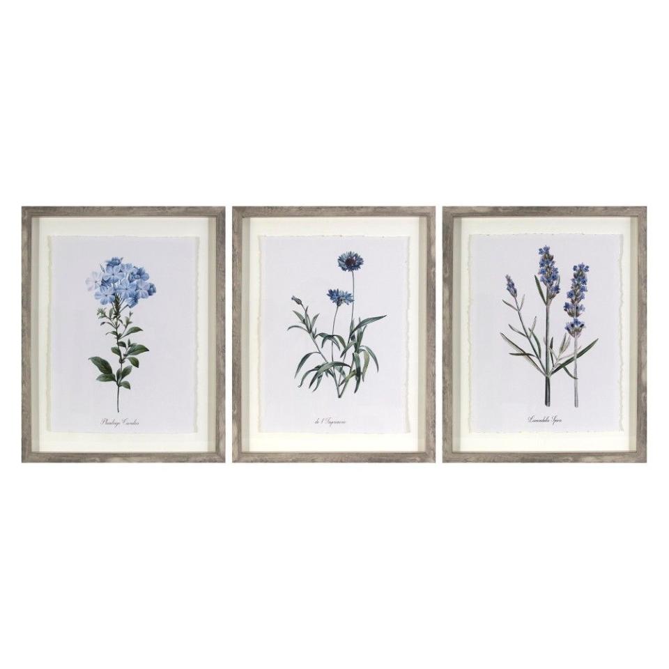 Botanicals Wall Art