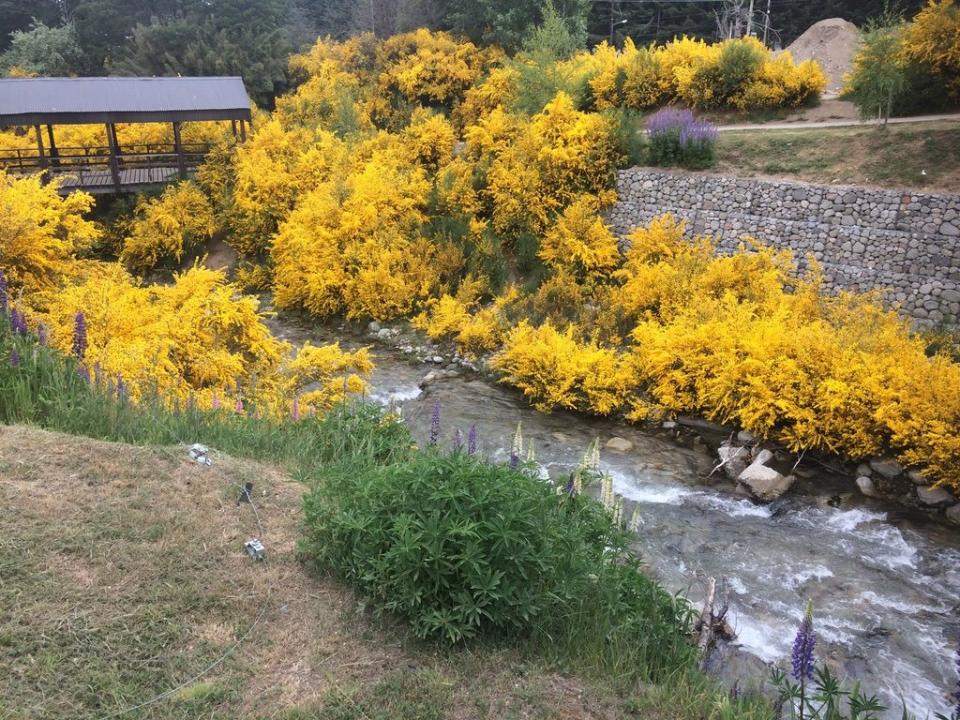 Arroyo de Villa la Angostura. (Laura Rivera)