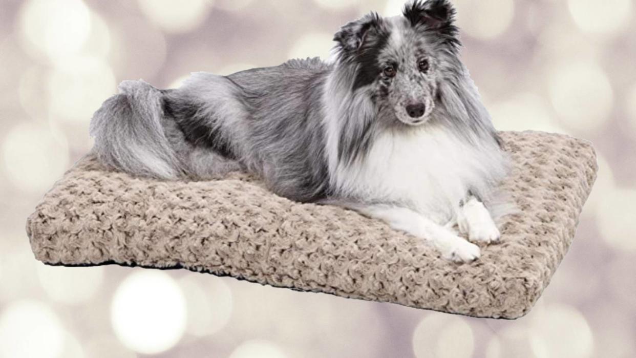 Your pup would love to catch some zzzs on this bed. (Photo: Amazon)