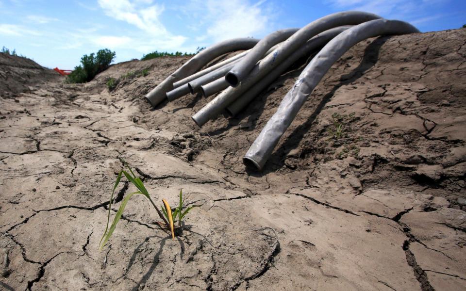 Irrigation pipes along a dry irrigation canal on a field near Stockton, California - AP