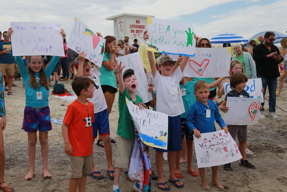 A group of Tybee Island Marine Science Center Sea Campers say farewell to Addy as the sea turtle swims out into the ocean Wednesday afternoon on Tybee Island.