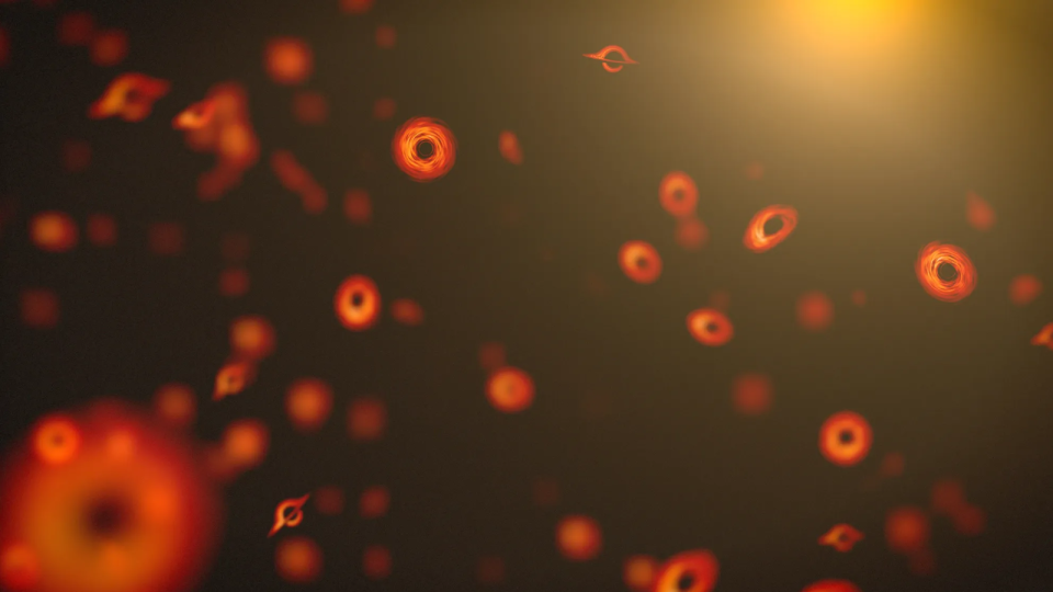 Lots of small black holes with bright orange disks around them floating around, looking kind of like blood cells.