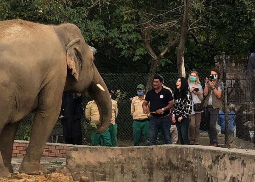 Singer Cher (third from right) meets Kaavan the elephant at a zoo in Islamabad, Pakistan, along with veterinarian                  Dr. Amir Khalil, International Director of Project Development for the Four Paws International charity, on November 28, 2020.  / Credit: CBS/Maria Usman