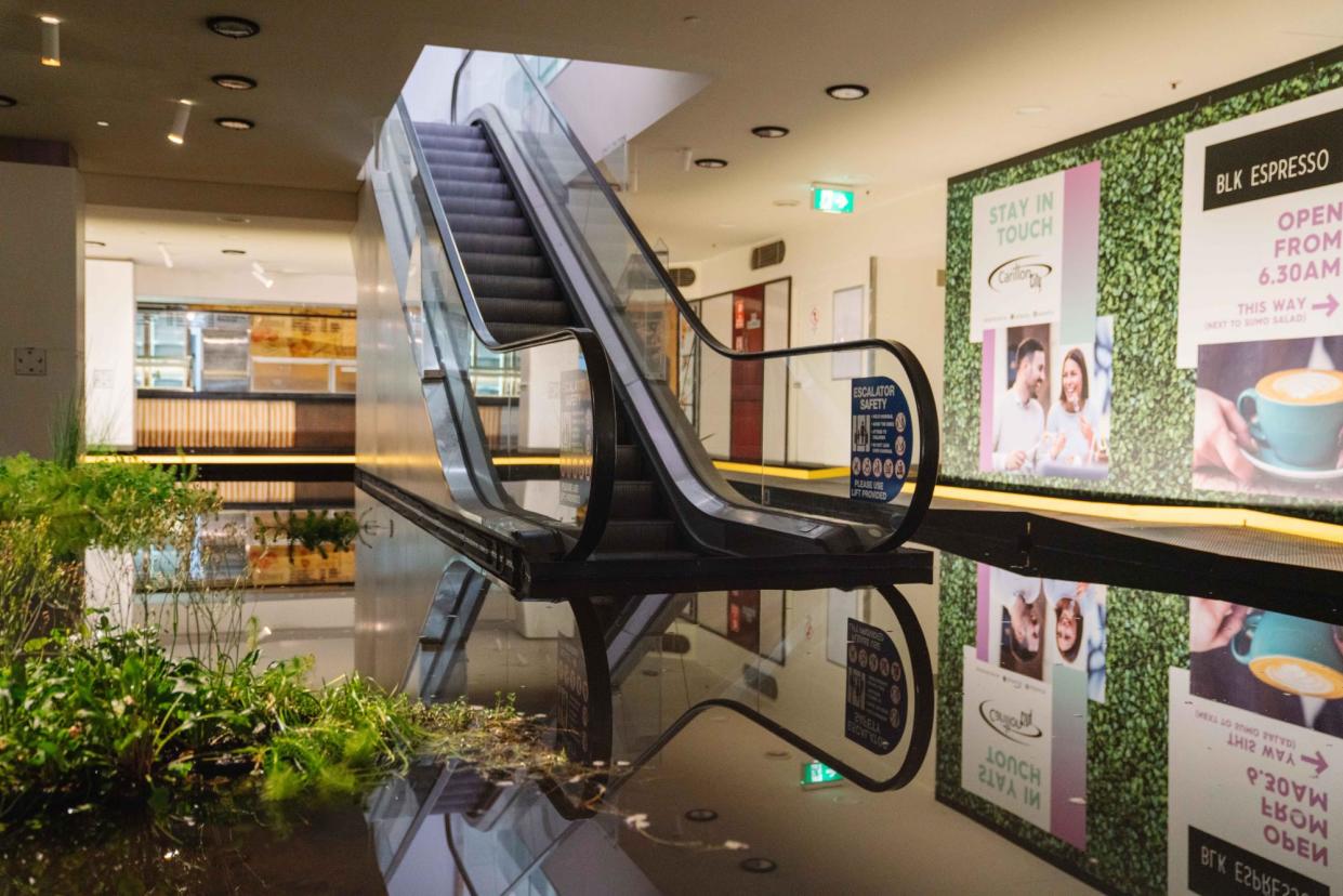 <span>‘I’ve seen people gasp when they walk down the escalator’: Wetland at Perth festival.</span><span>Photograph: Louise Coghill</span>