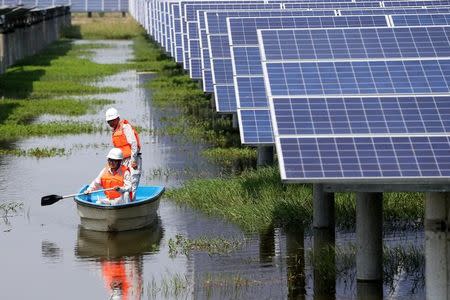Employees row a boat as they check solar panels of a photovoltaic power generation project at a fishpond in Jingzhou, Hubei province, August 23, 2017. REUTERS/Stringer/Files
