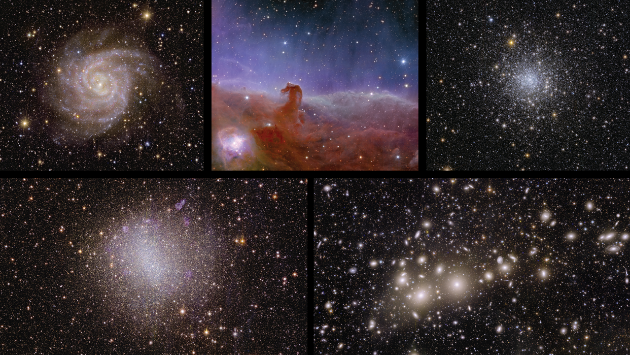  A collage of Euclid's starry first full-color images. 