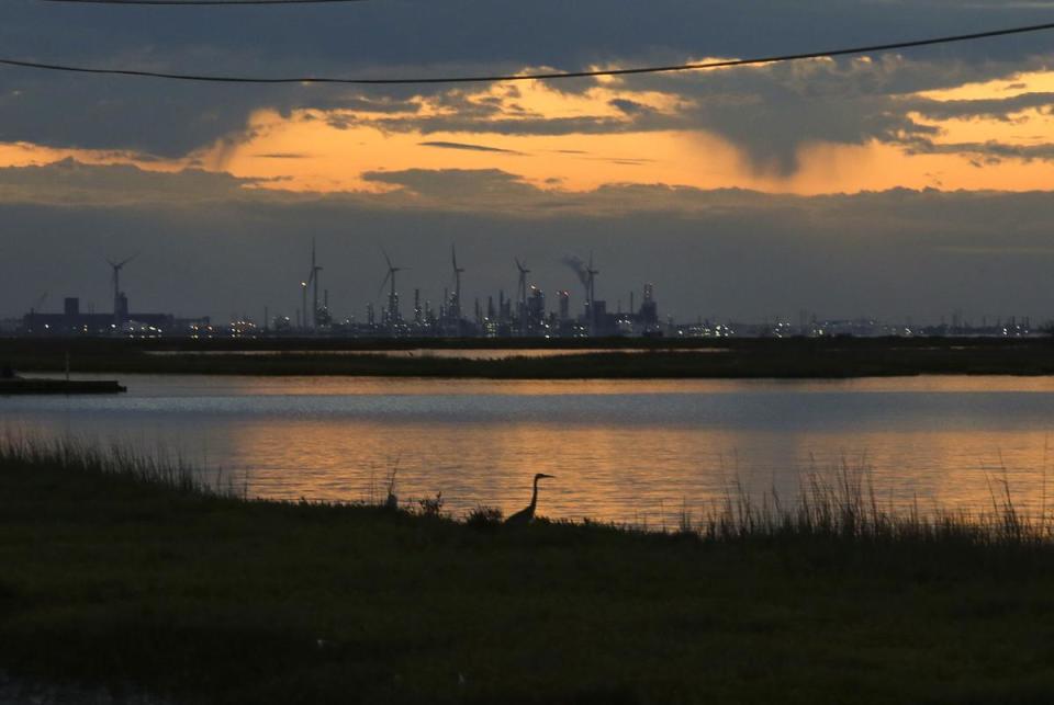 A seabird on the shore of Nueces Bay showing Corpus Christi's refinery row. Plans to open plants that will turn seawater into fresh water have sparked concerns that their discharge will cause the bay's salinity to rise and devastate its ecosystem.