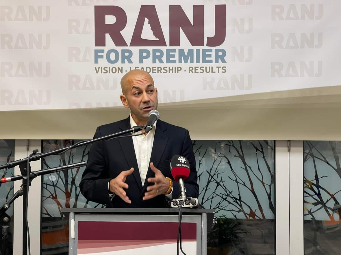 Yukon Minister Ranj Pillai officially announced he's running for premier on Friday. (Julien Gignac/CBC - image credit)