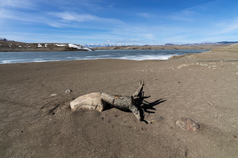 A view of mud and rocks and a tree stump near the Oldman Reservoir near Pincher Creek