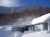<p><a href="http://newenglandskimuseum.org" rel="nofollow noopener" target="_blank" data-ylk="slk:New England Ski Museum;elm:context_link;itc:0;sec:content-canvas" class="link ">New England Ski Museum </a></p><p>Nestled in two locations in the White Mountains, the museum has a Franconia Notch and North Conway branch, both packed with info on the history of skiing.</p>