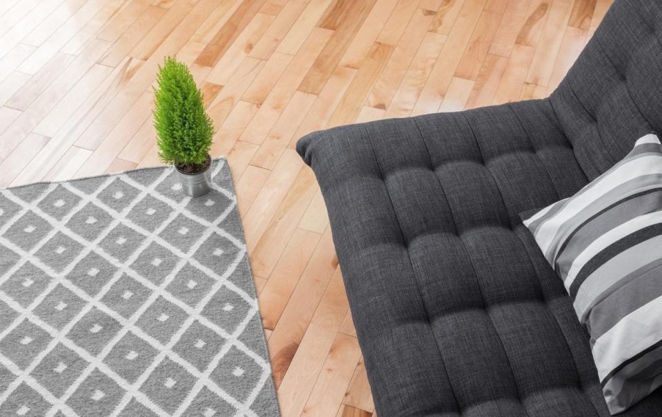 A small houseplant sitting on the corner of an area rug in front of a dark futon.