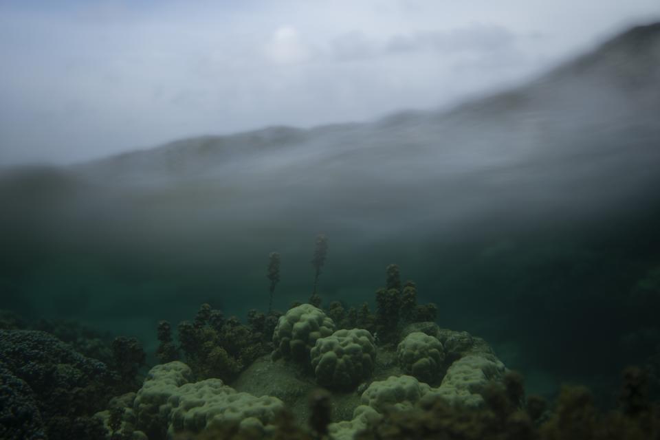 The coral reef is visible beneath the water in Teahupo'o, Tahiti, French Polynesia, Monday, Jan. 15, 2024. (AP Photo/Daniel Cole)