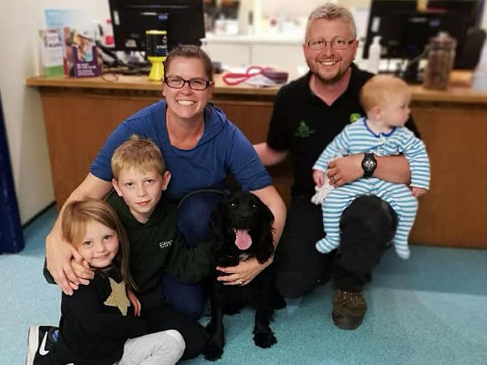 The Ferrier family with their sprocker spaniel dog Fern. It's believed Fern was stolen from outside a home in Surrey in 2013 but she was reunited with her owners last week.