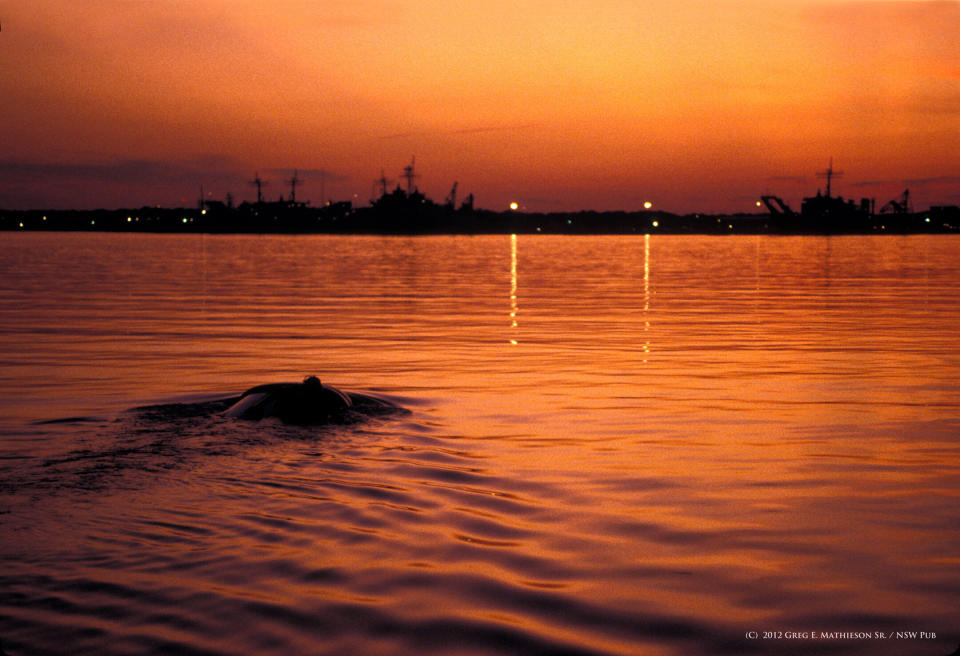 As sunset darkness sets in, an SEAL Delivery Vehicle (SDV) moves toward Naval Warships  in a harbor to conduct a underwater training mission unknown to sailors working on the nearby shores and and ships. Photo: (C) 2011 Greg E. Mathieson Sr. / NSW Publications, LLC