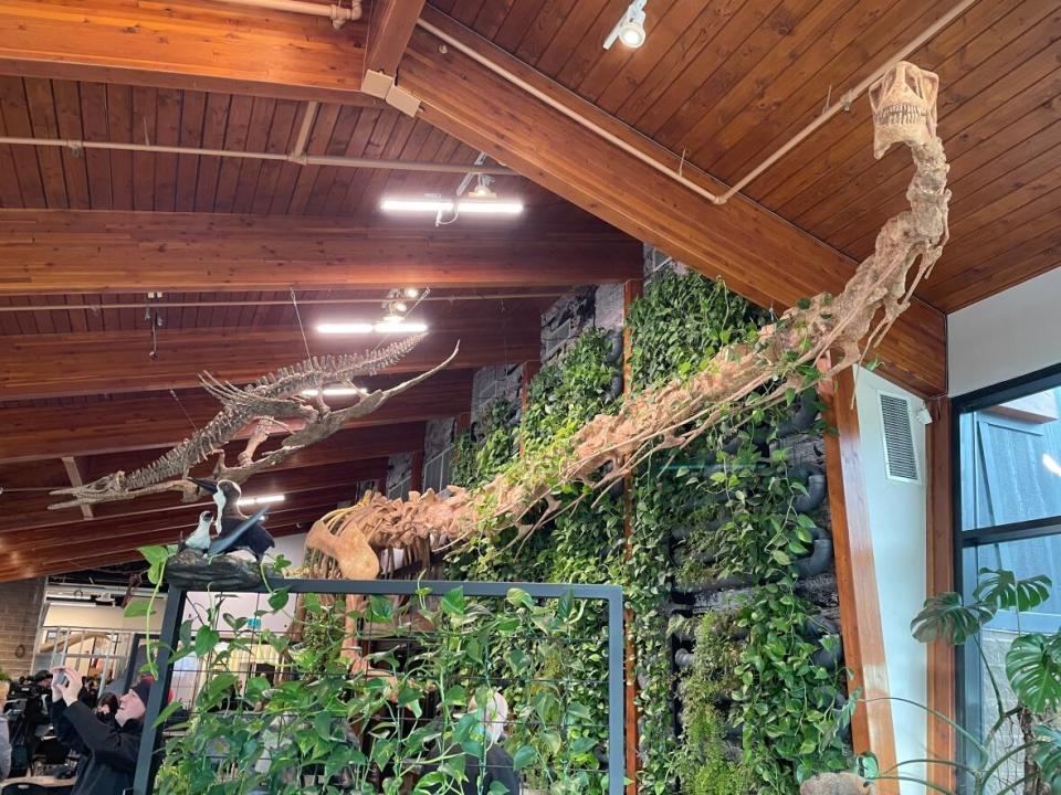 The Gaia Gallery greets visitors with a massive living wall of more than 1,500 plants alongside dinosaur skeletons. (Nicole Oud/CBC - image credit)