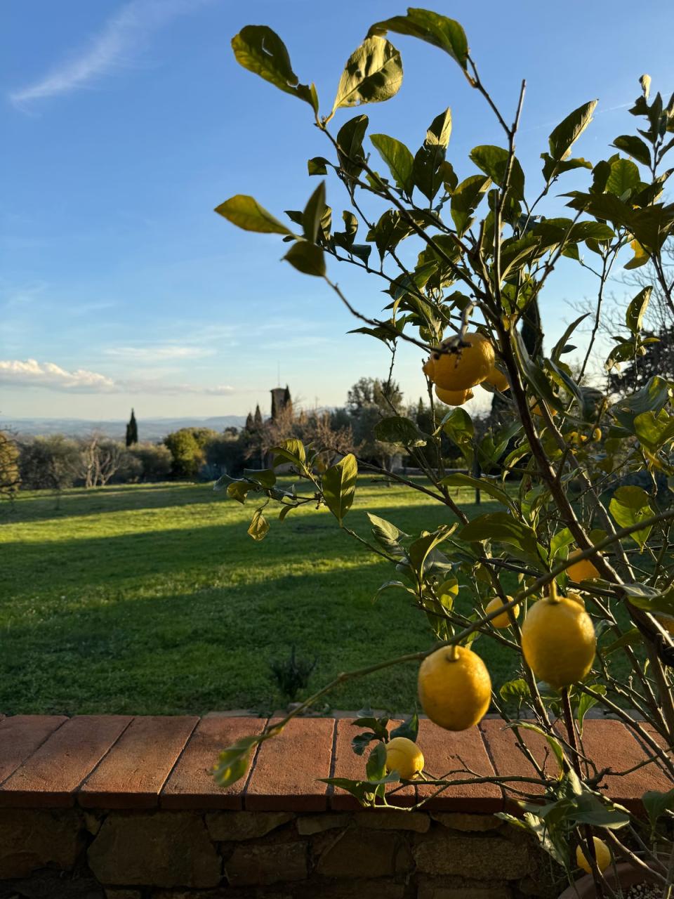 The beautiful garden of Il Bacio (Oliver Poole)