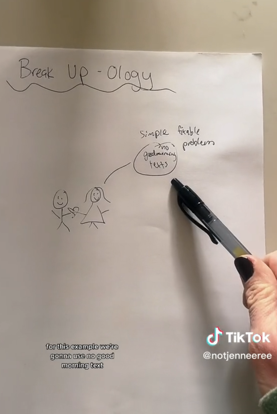 A screencap of the diagram from Jen's tiktok video