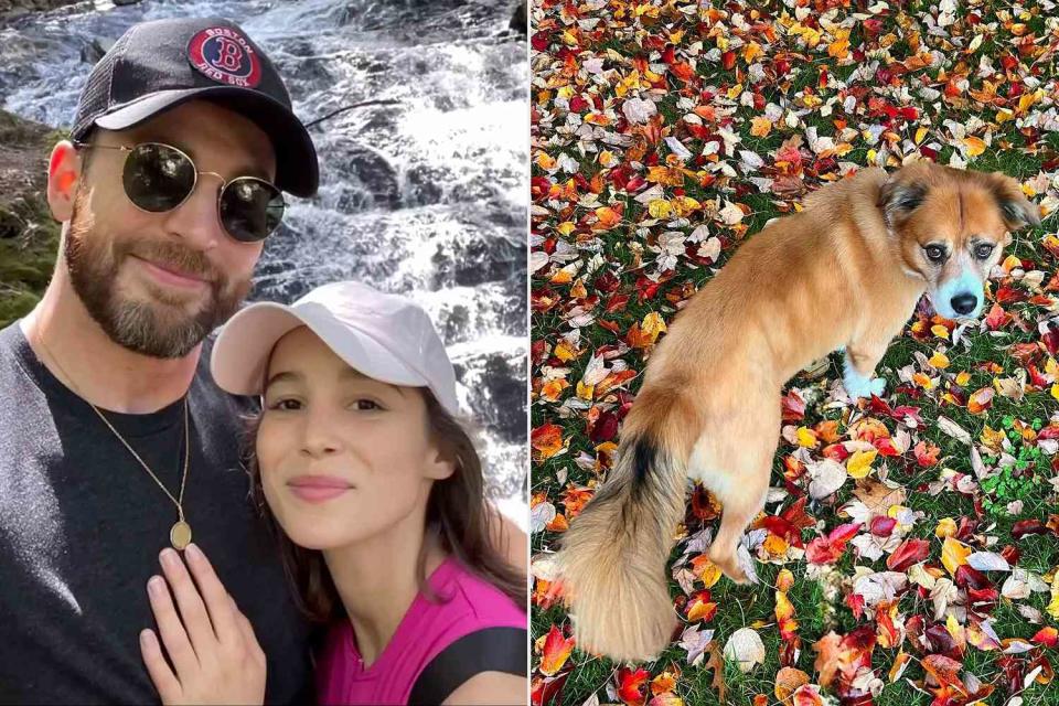 <p>Chris Evans/Instagram; Alba Baptista/Instagram</p> Chris Evans and wife Alba Baptista; Dodger the dog