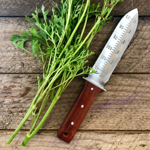 Hori Hori Garden Tool against wooden background with plant by it