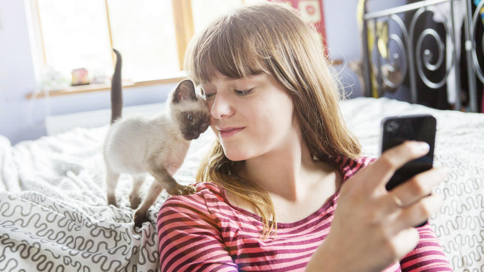 girl on phone, cat interrupting