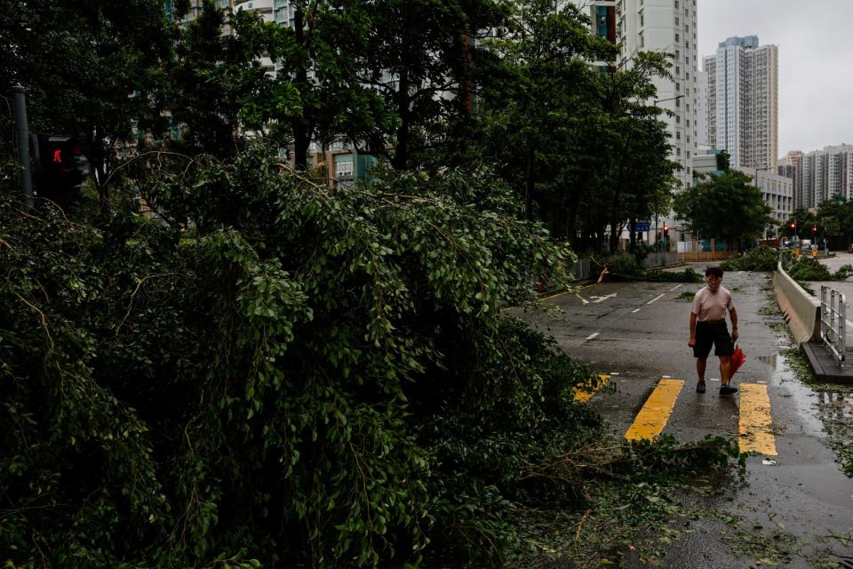 颱風蘇拉1日晚間侵襲香港，當地傳出上百起路樹倒塌事件，共有60多人受傷就醫。路透社