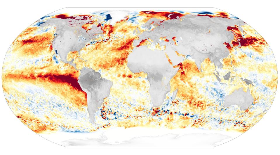 Sea surface temperature anomalies in August 2023.