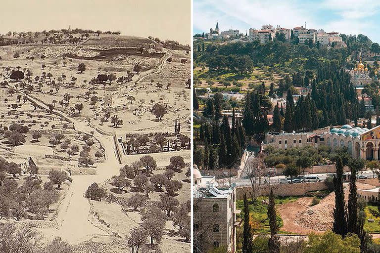 Monte de los Olivos, Jerusal&#xe9;n, en 1867 y en la actualidad. Gentileza Doug Hershey, autor de Jerusalem Rising (ISBN 978-1-4964-5390-7)