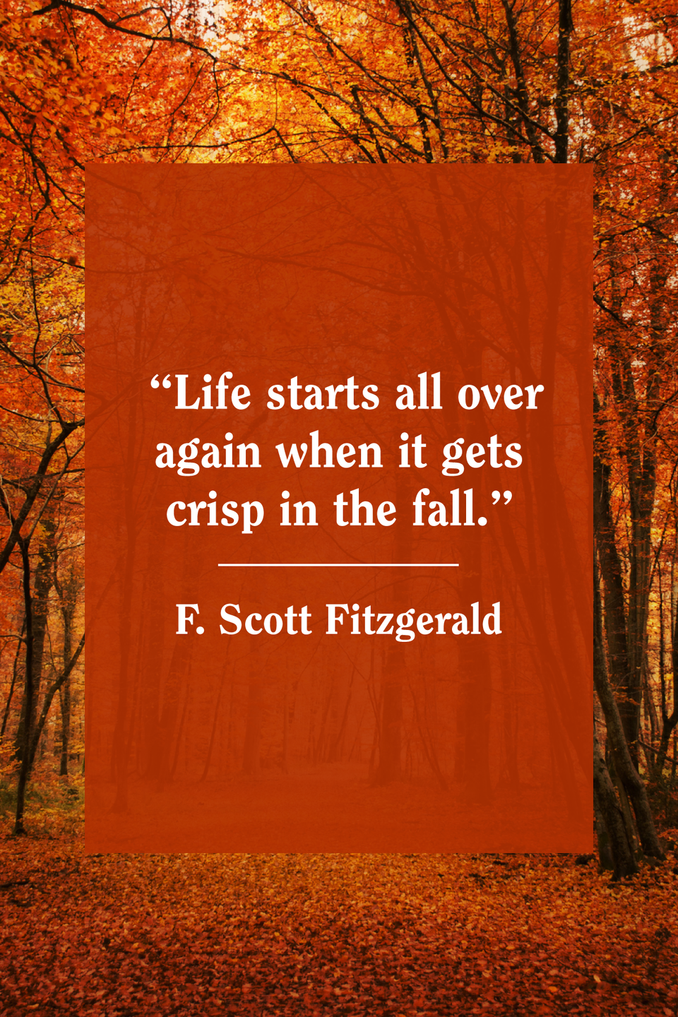 F. Scott Fitzgerald