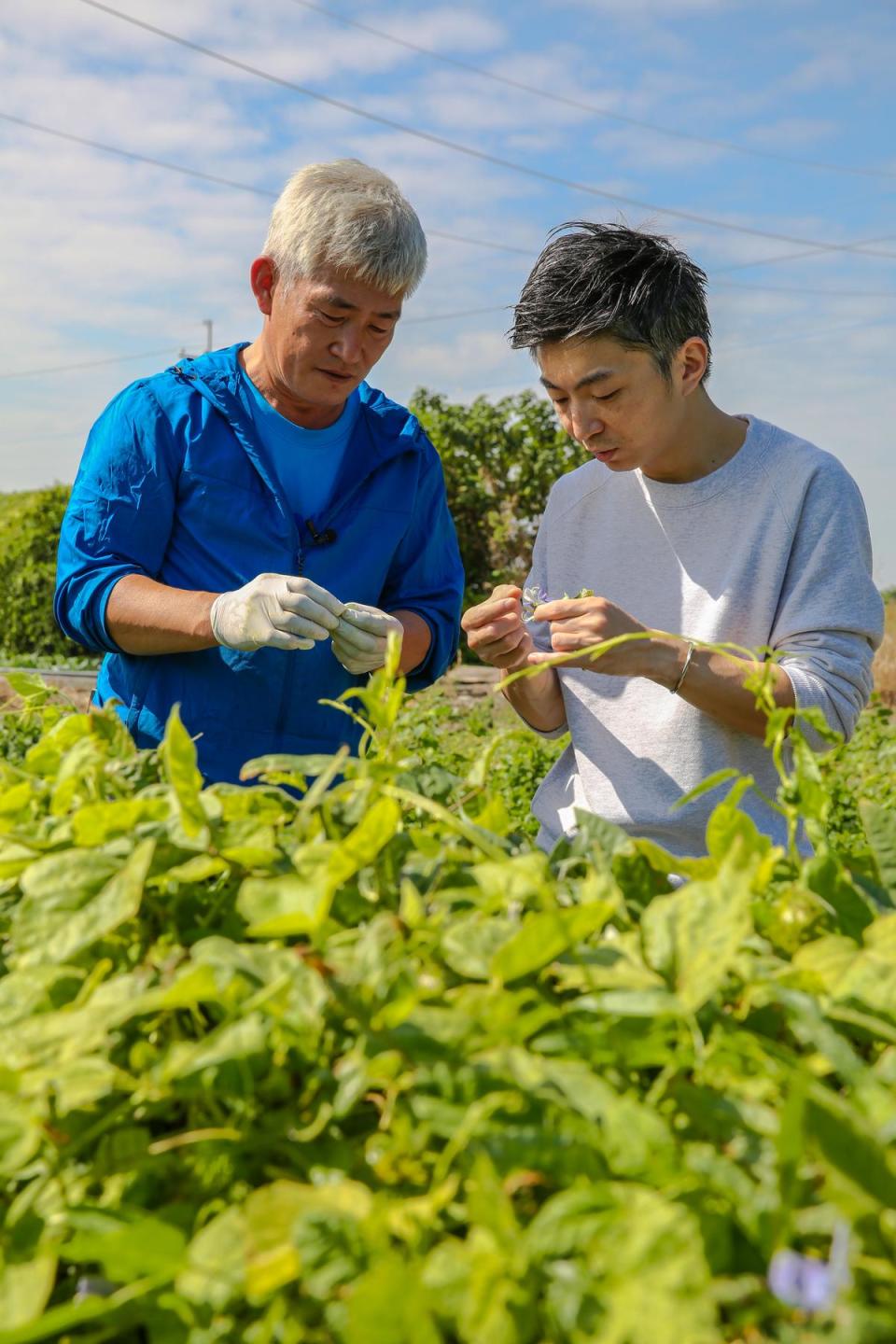 林泉（右）勤跑食材產地，他認為透過種植者林中智的分享能更認識食材的變化和風味。