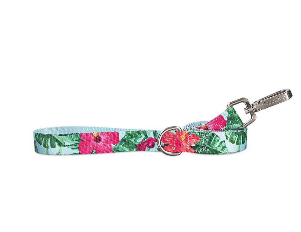 <p>Celebrate the arrival of spring weather with this bright and attractive leash that is sure to catch the eye of other dogs and their owners.<strong>Buy it!</strong> Good2Go Hibiscus Dog Leash, $18.99; <a rel="nofollow noopener" href="http://www.anrdoezrs.net/links/8029122/type/dlg/sid/POPetsNationalPetDayApr17KB/http://www.petco.com/shop/en/petcostore/product/dog/dog-collars-leashes-and-harnesses/good2go-hibiscus-dog-leash" target="_blank" data-ylk="slk:petco.com" class="link ">petco.com</a></p>