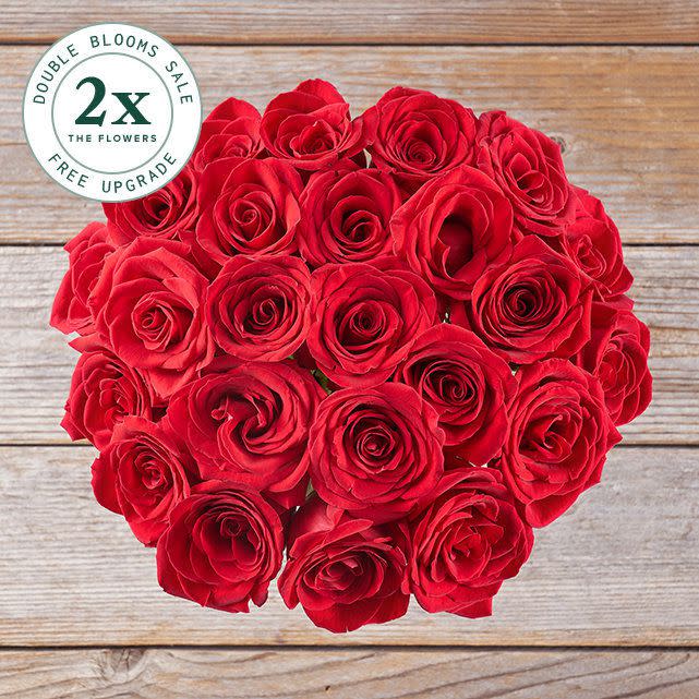 red roses, valentine&#39;s day gifts