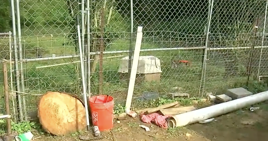 The dogs accused of mauling a woman to death were kept in this fenced-off yard (WBRC)