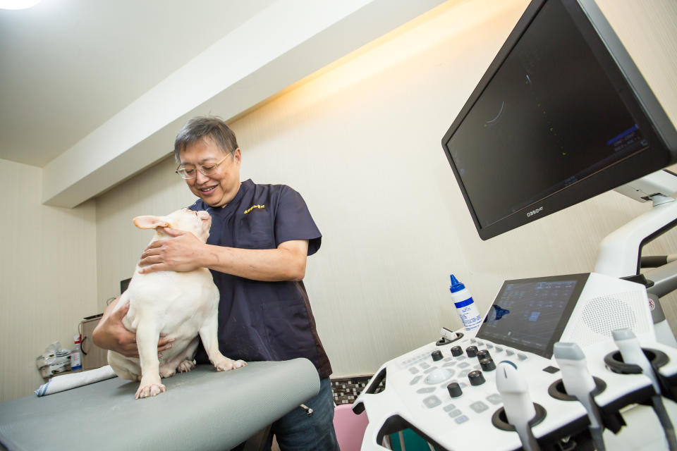 執業超過30年的王聲文是全台第一個投入寵物安養長照的獸醫師。