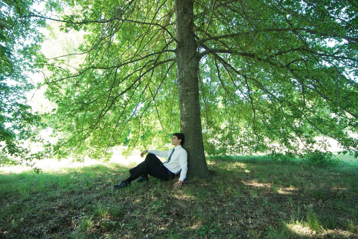 businessman sitting under tree