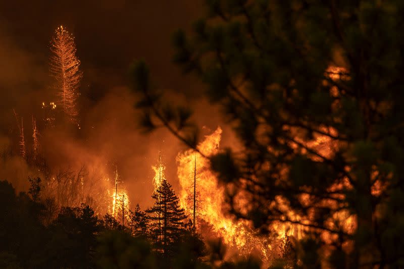 El incendio de Oak arde en California