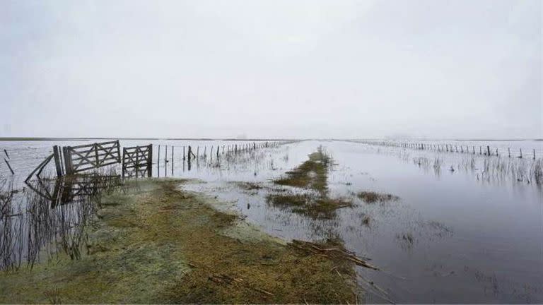 El proyecto también busca dar apoyo económico en situaciones de "emergencia climática” para el agro